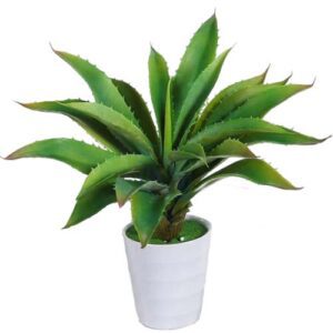 Agave Attenuata Artificiel - Plante Décorative Réaliste