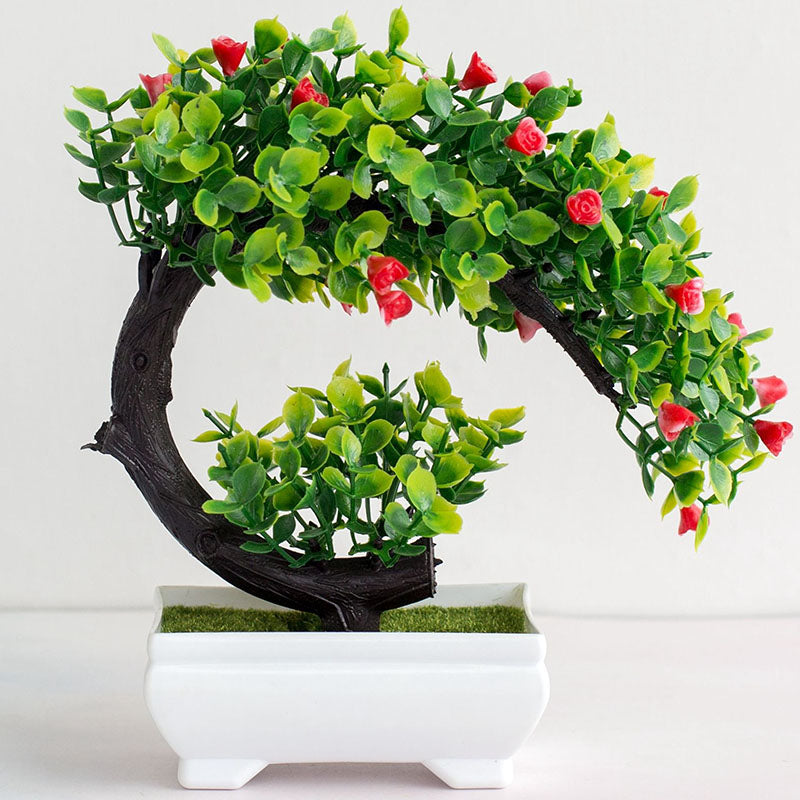 bonsai a feuille rouge 2