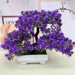 bonsai d interieur a fleurs 2