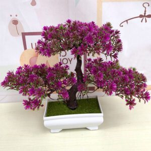 bonsai d interieur fleuri 2