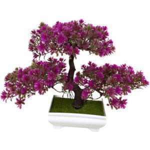 bonsai d interieur fleuri