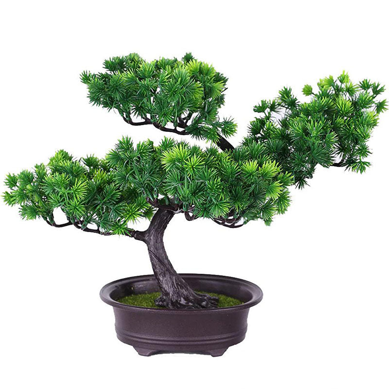 bonsai pin artificiel