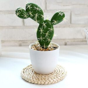 cactus artificiel opuntia 2