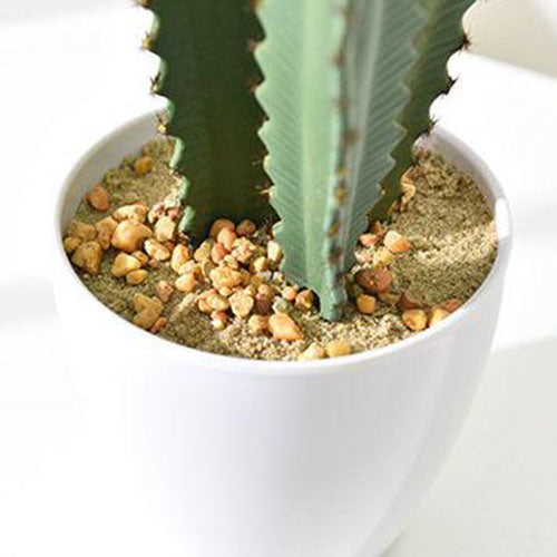 cactus mexicain artificiel 3