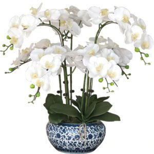 orchidee blanche artificielle 2