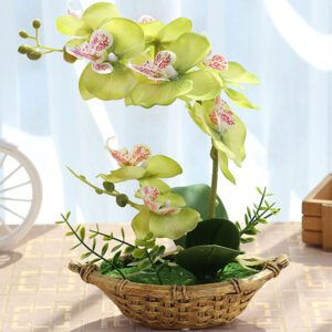 orchidee phalaenopsis artificielle 3