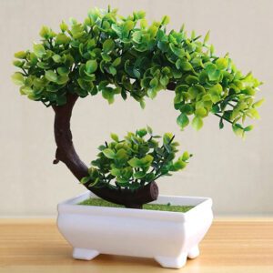 petit bonsai interieur 2