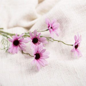 fleur de marguerite rose 2