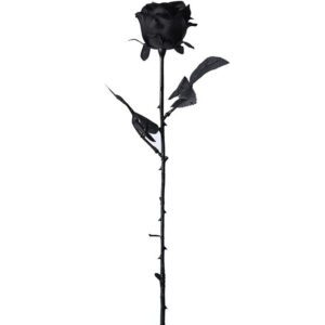 Rose Artificielle Noire Élégante et Glamour
