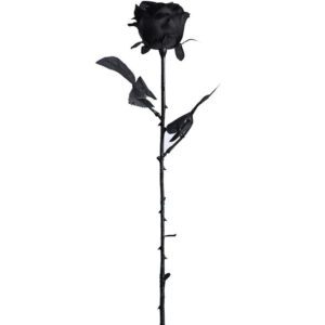rose artificielle noire 3