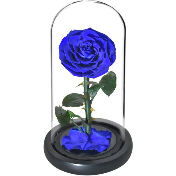 Rose éternel couleur bleu foncé, 5-6 cm main image 1