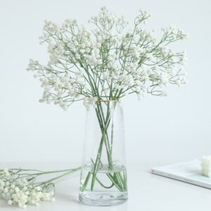 branche de gypsophile 2