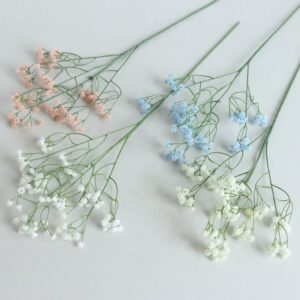 branche de gypsophile