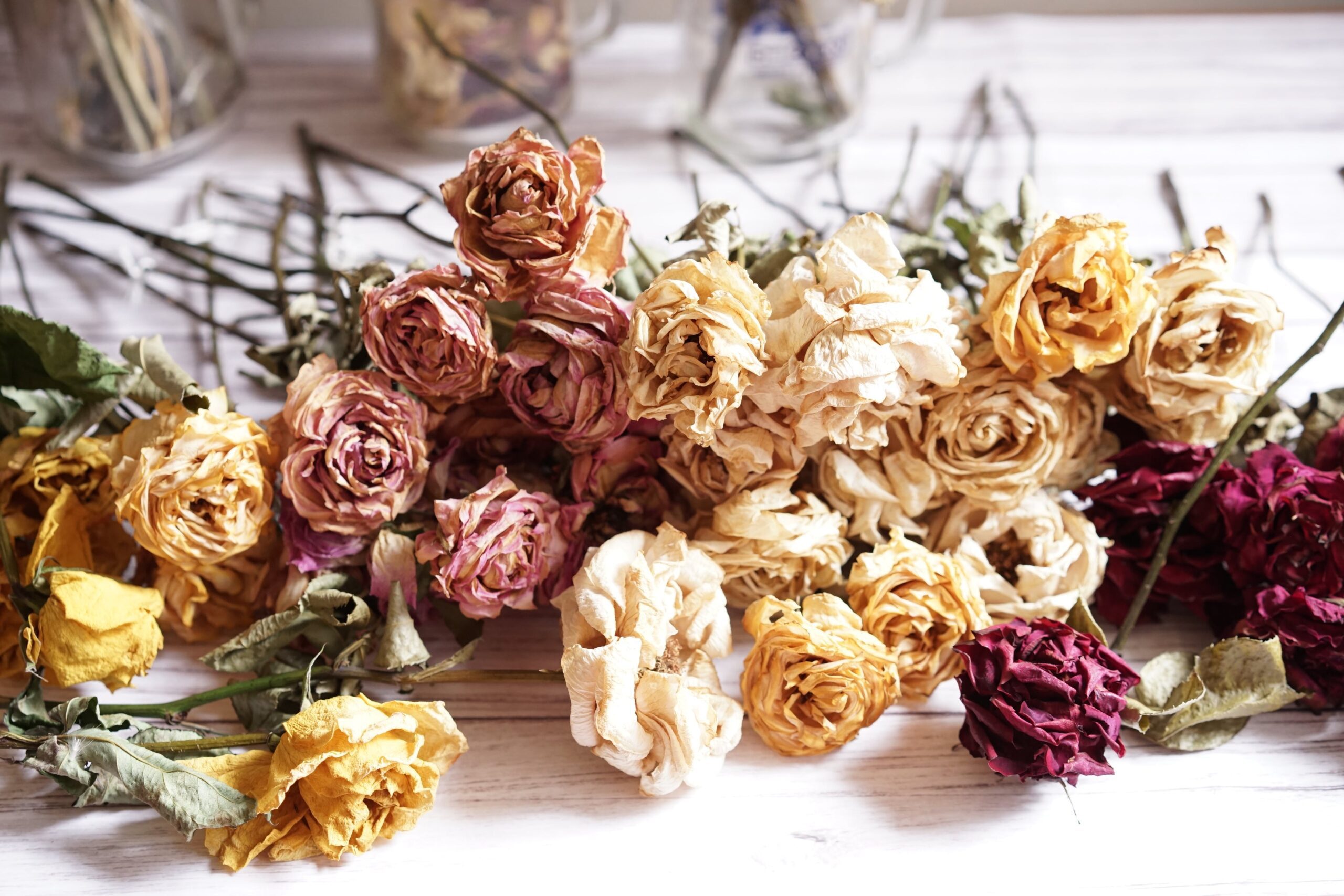 Comment faire sécher des pétales de roses ? - Le jardin artificiel