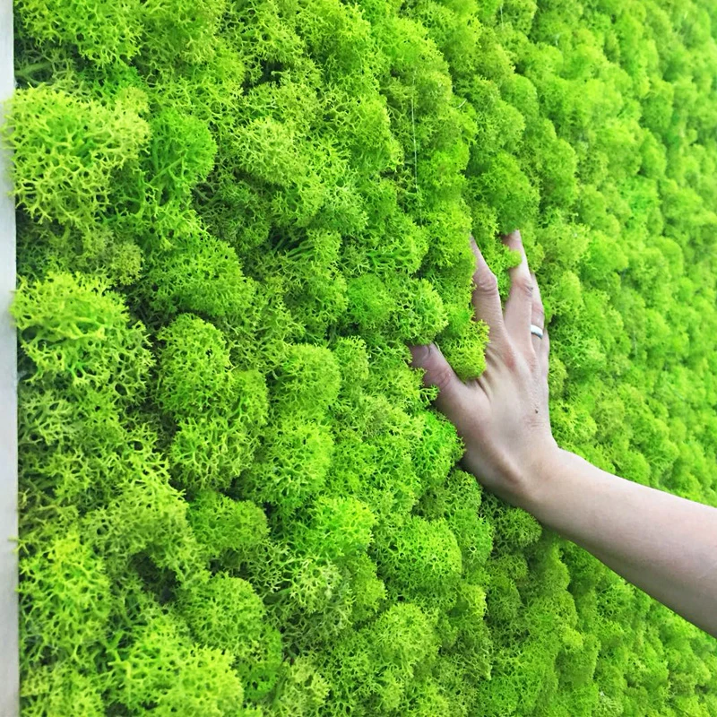 kf H1266f309c9214e5f9e4ec30dd2edbfa6L Mousse artificielle de qualit 20g 40g imitation de plante verte d coration murale pour la maison