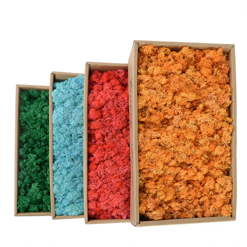kf S8be45a3768314840973bd9d70501a874B Mousse artificielle de qualit 20g 40g imitation de plante verte d coration murale pour la maison